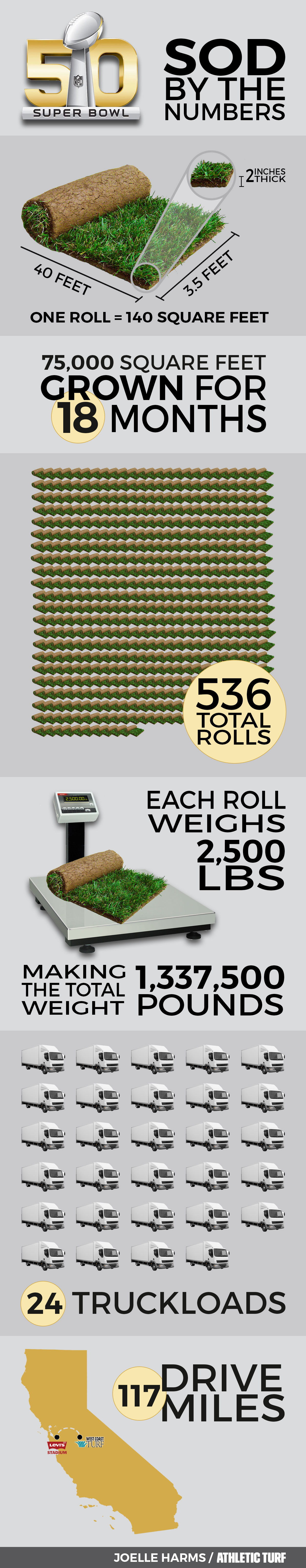 Super-Bowl-50-Turf-Infographic