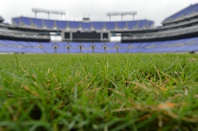 Baltimore Pro Sports Stadiums Exemplify Sustainability