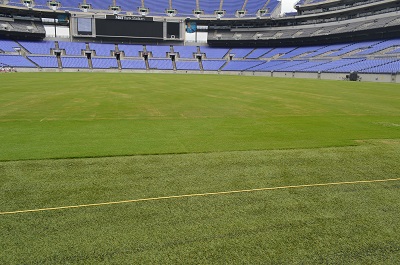 Baltimore Ravens' New Grass Field Demands the Best - Toro